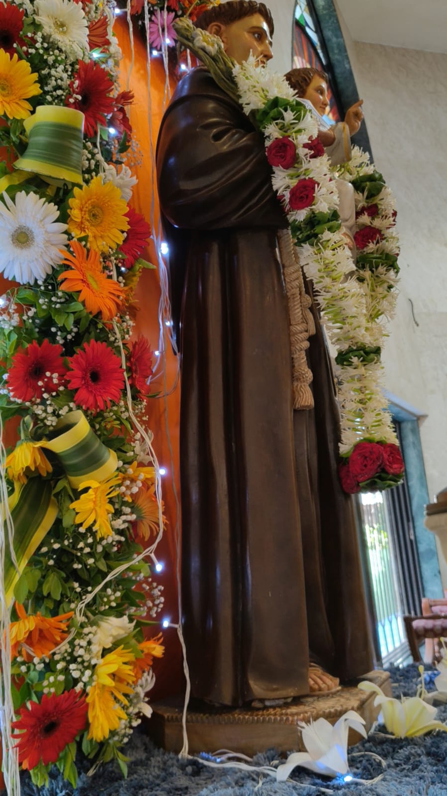 St. Anthony Feast Day Celebration #25