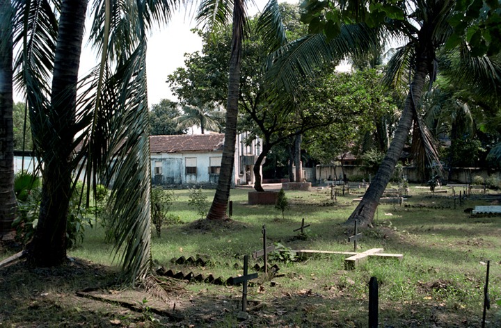 Parish Cemetery Graves and Palms